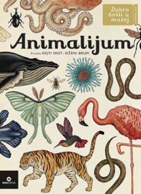 Animalijum, ilustrovala Kejti Skot, napisala Dženi Brum