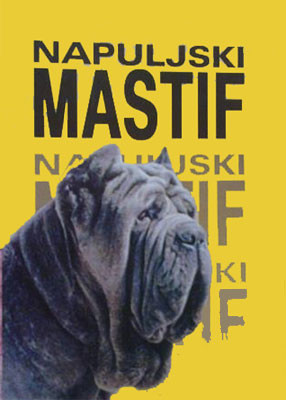 Napuljski mastif, Rade Dakić - Kića